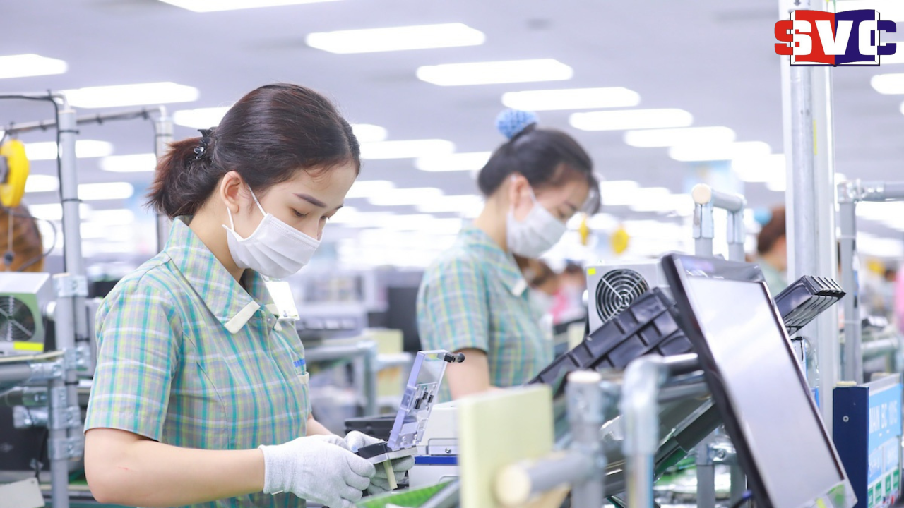 DỊCH VỤ TƯ VẤN LAO ĐỘNG - Hình ảnh 2